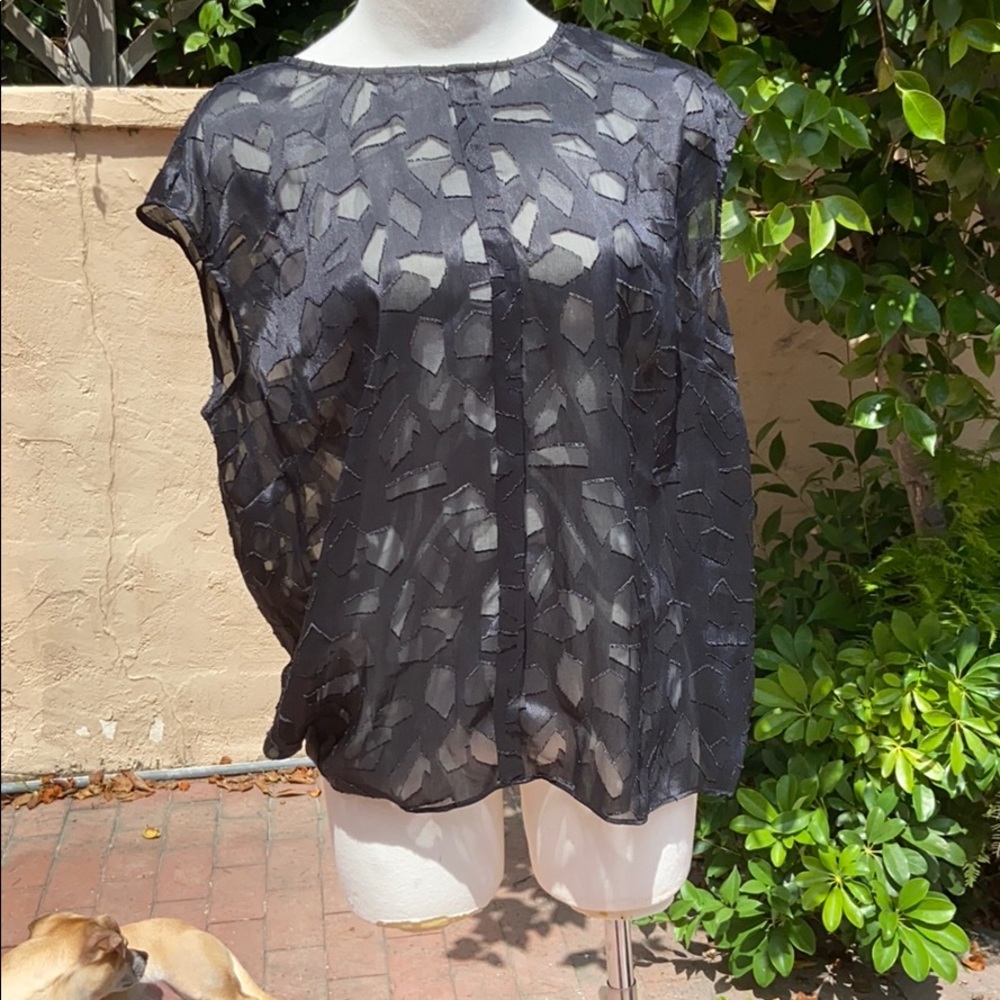 Sheer black top